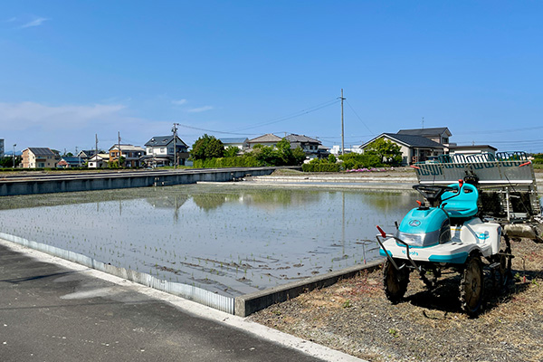 田植え機で苗を植えている様子